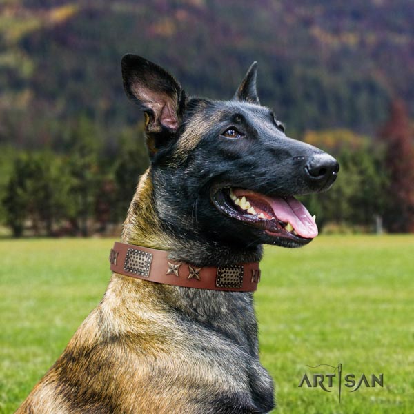 Belgian Malinois daily walking natural leather collar for your attractive pet