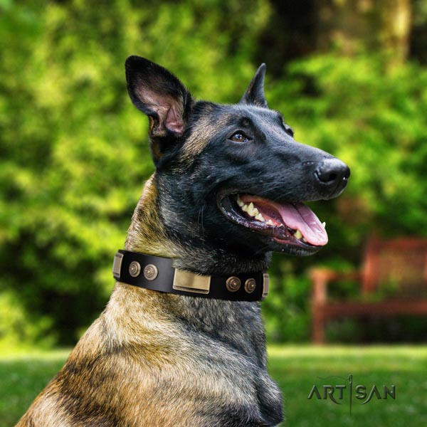 Belgian Malinois easy wearing leather collar for your handsome doggie