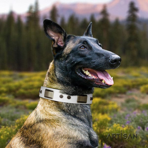 Belgian Malinois stylish walking full grain leather collar for your impressive pet