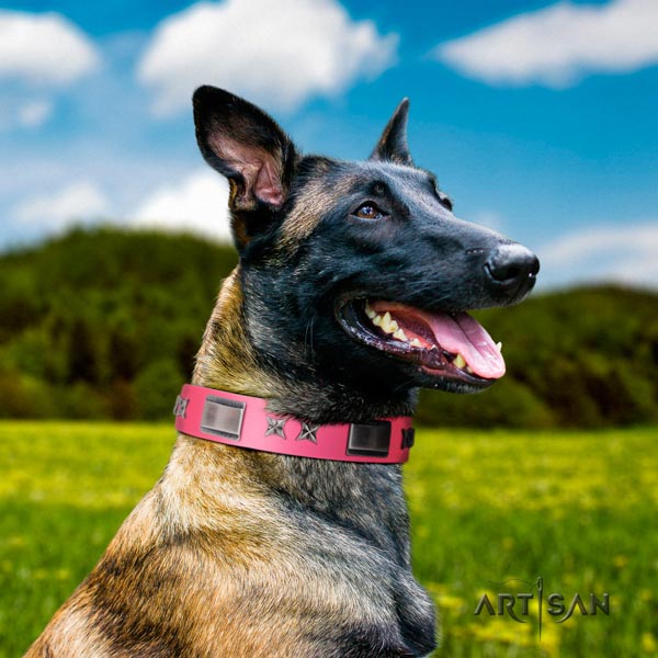 Belgian Malinois handy use full grain leather collar for your stylish dog