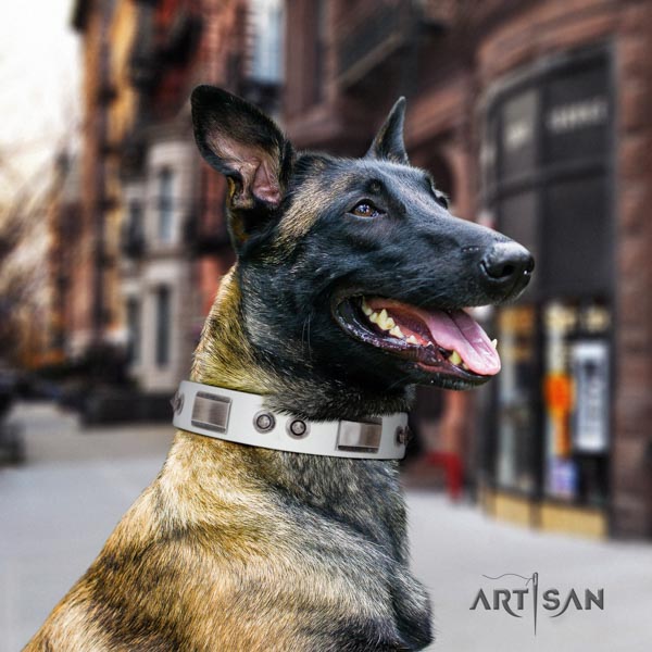 Belgian Malinois handy use genuine leather collar for your impressive dog