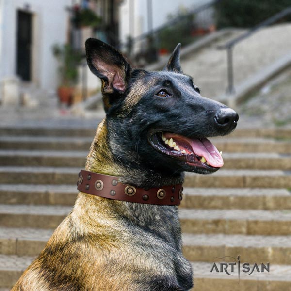 Belgian Malinois everyday walking full grain genuine leather collar for your attractive doggie