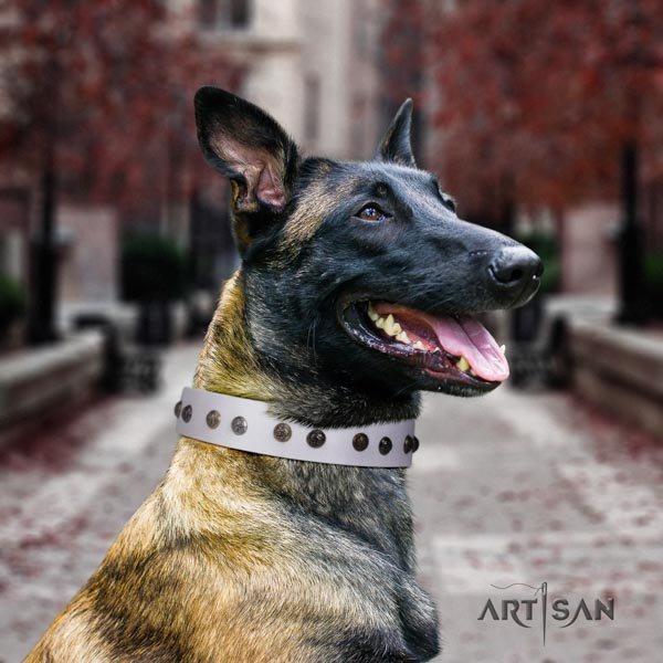 Belgian Malinois daily use genuine leather collar for your lovely four-legged friend