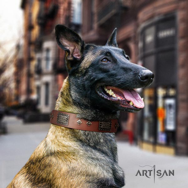 Belgian Malinois walking full grain genuine leather collar for your attractive four-legged friend