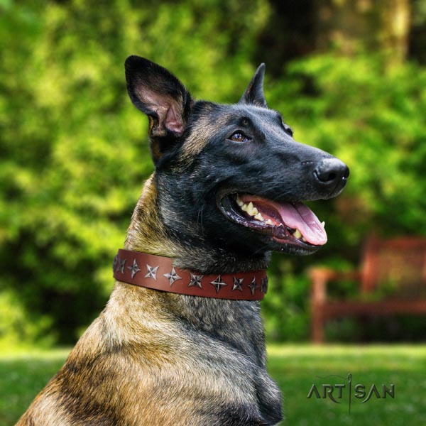 Belgian Malinois daily use natural leather collar for your beautiful canine