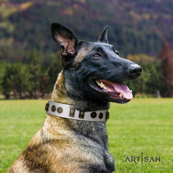 Belgian Malinois fancy walking genuine leather collar for your stylish dog