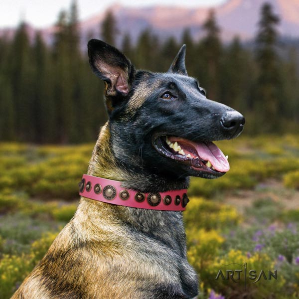 Belgian Malinois daily walking genuine leather collar for your beautiful four-legged friend