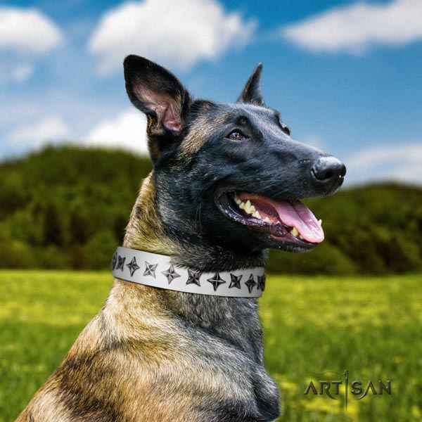 Belgian Malinois walking natural leather collar for your beautiful four-legged friend