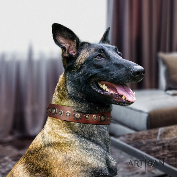 Belgian Malinois daily walking full grain genuine leather collar for your stylish canine