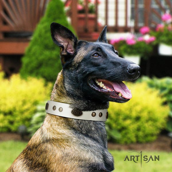Belgian Malinois handy use leather collar for your beautiful four-legged friend