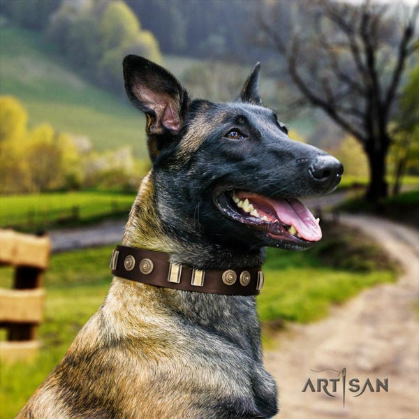 Belgian Malinois everyday use full grain genuine leather collar for your stylish four-legged friend