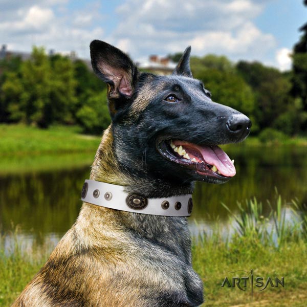 Belgian Malinois easy wearing leather collar for your lovely doggie