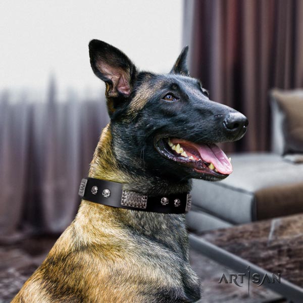 Belgian Malinois everyday walking full grain genuine leather collar for your lovely pet