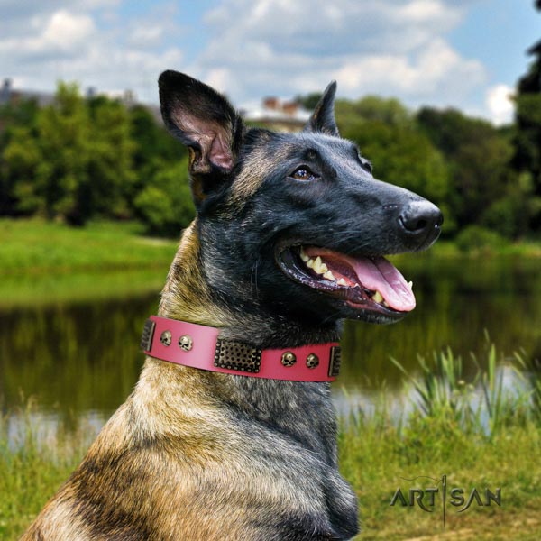 Belgian Malinois daily use genuine leather collar for your handsome dog