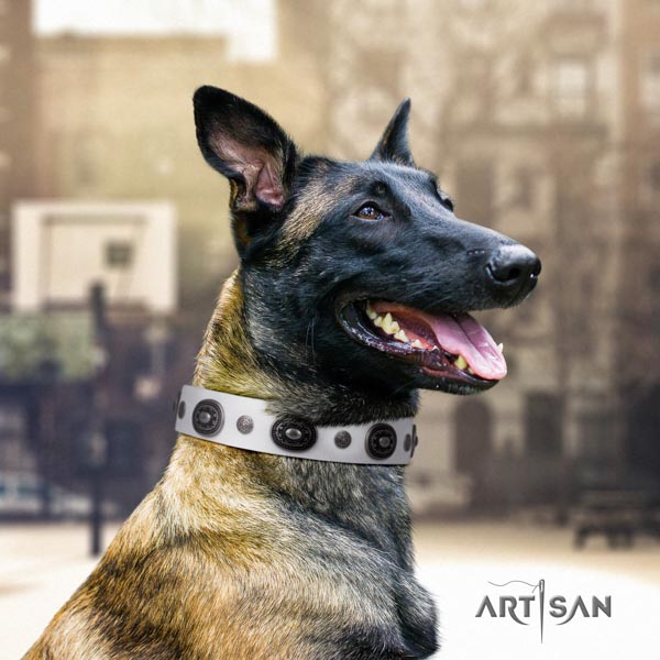 Belgian Malinois daily walking natural leather collar for your stylish dog