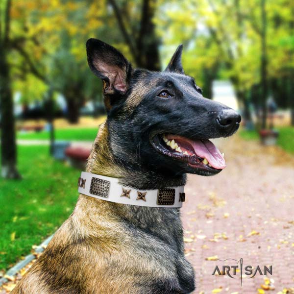 Belgian Malinois handy use leather collar for your stylish pet