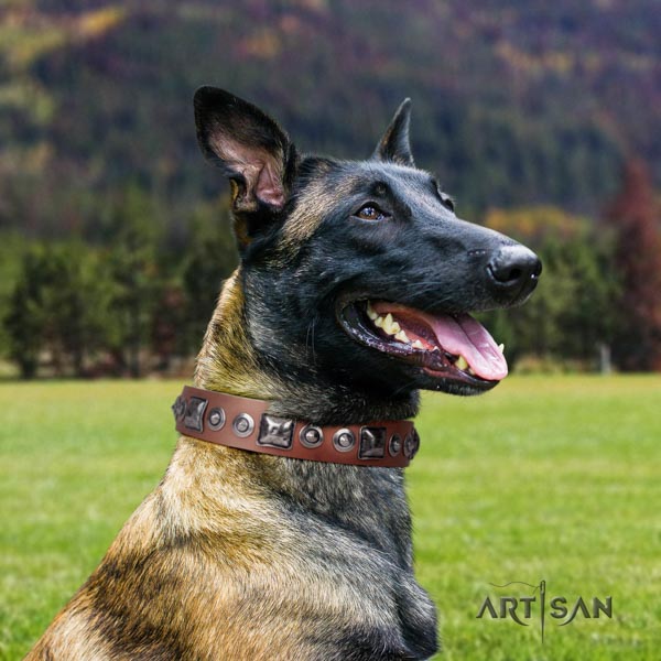 Belgian Malinois walking full grain natural leather collar for your handsome four-legged friend