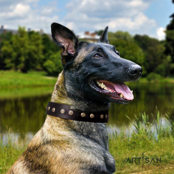 Belgian Malinois basic training leather collar for your impressive dog