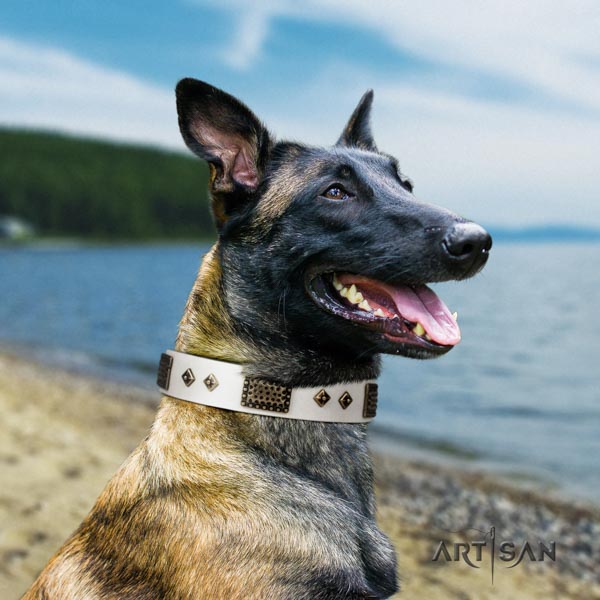 Belgian Malinois handy use full grain genuine leather collar for your handsome dog