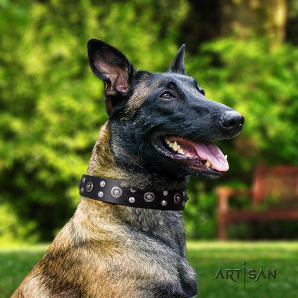 Belgian Malinois everyday use full grain leather collar for your impressive doggie