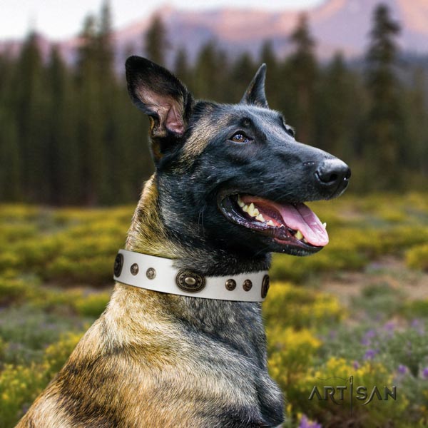Belgian Malinois daily walking genuine leather collar for your attractive pet