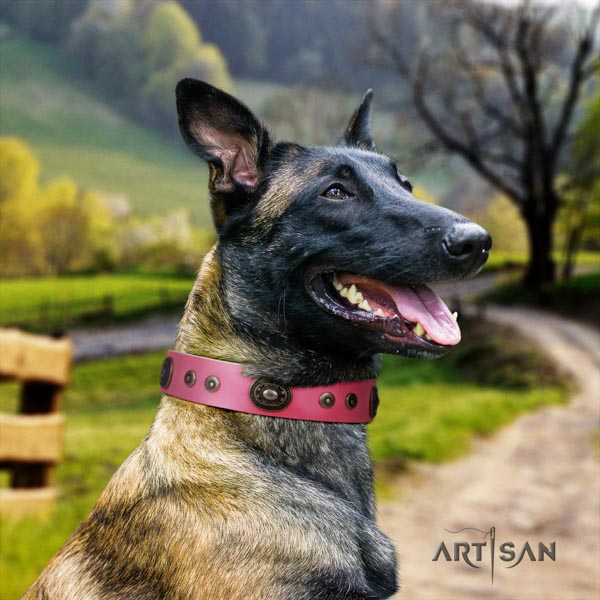 Belgian Malinois fancy walking leather collar for your beautiful dog