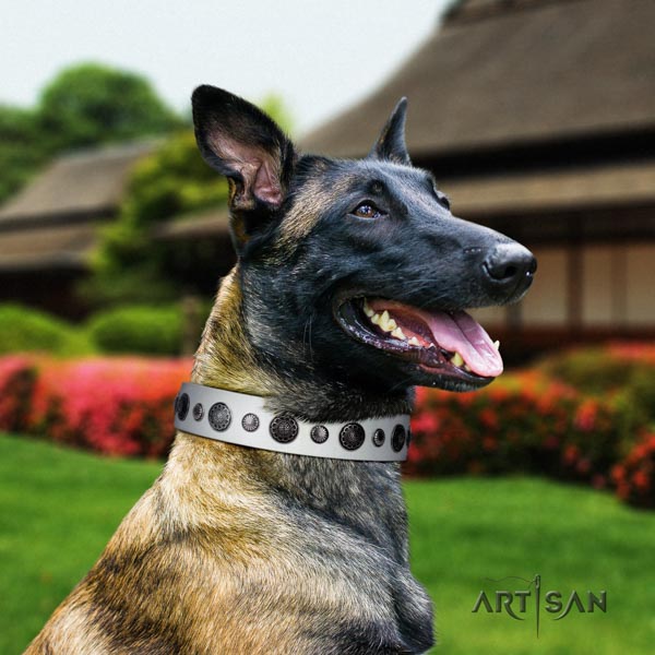 Belgian Malinois stylish walking full grain genuine leather collar for your impressive dog