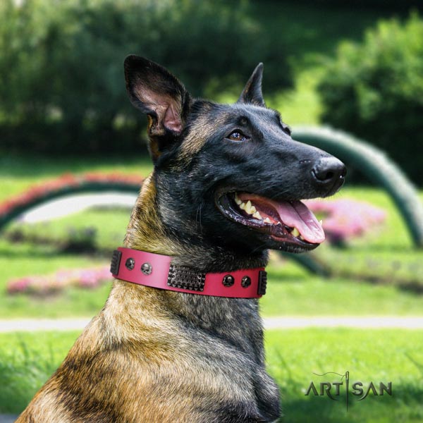 Belgian Malinois daily walking leather collar for your stylish pet