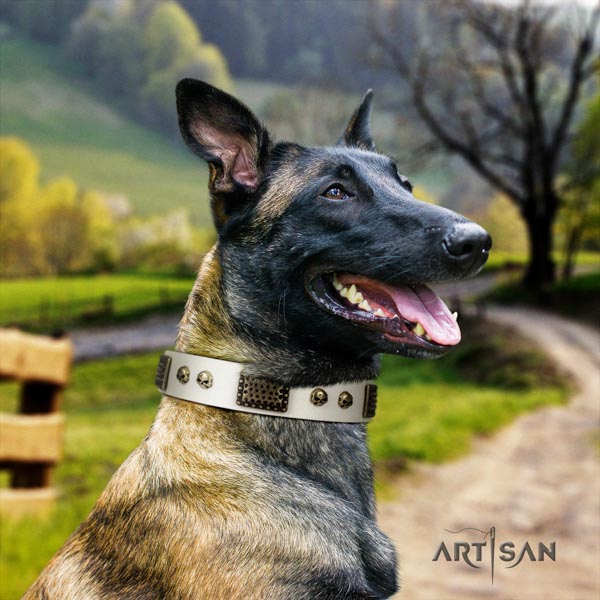 Belgian Malinois handy use leather collar for your impressive canine