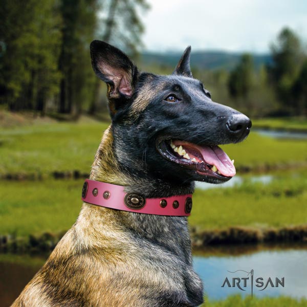 Belgian Malinois walking leather collar for your handsome dog
