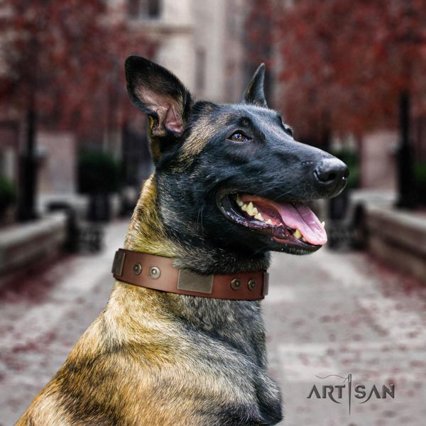 Belgian Malinois daily walking full grain genuine leather collar for your lovely canine