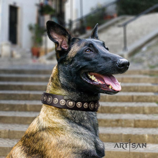 Belgian Malinois easy wearing full grain leather collar for your impressive dog