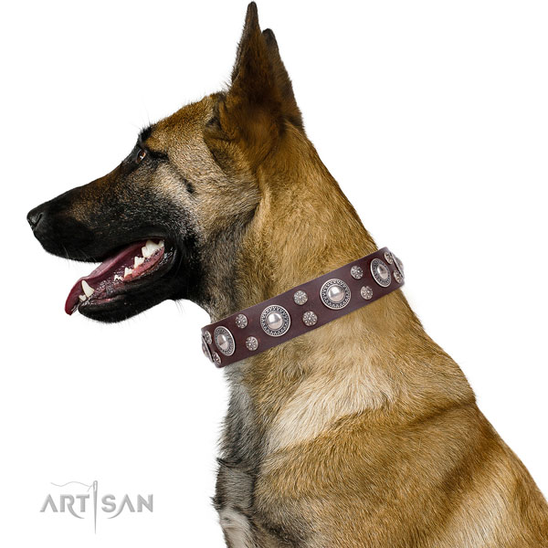 Belgian Malinois handmade leather dog collar for daily walking