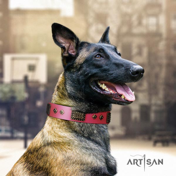 Belgian Malinois daily use full grain genuine leather collar for your lovely dog