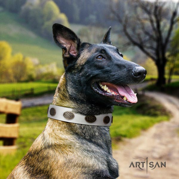 Belgian Malinois walking genuine leather collar for your attractive four-legged friend
