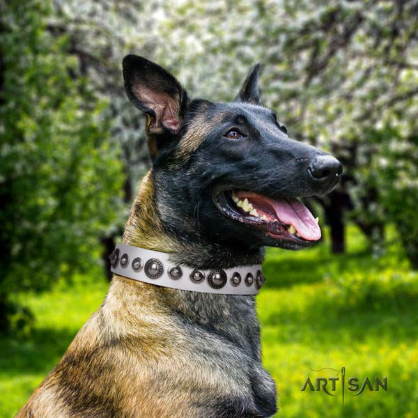 Belgian Malinois handy use full grain genuine leather collar for your stylish doggie