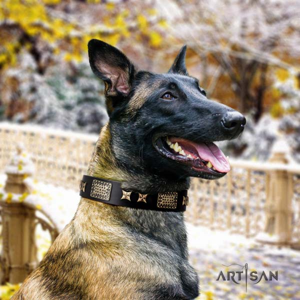 Belgian Malinois daily walking leather collar for your lovely dog