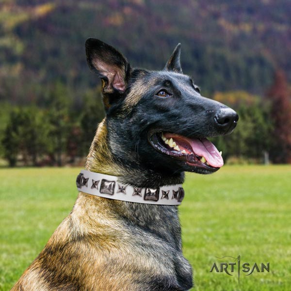 Belgian Malinois fancy walking genuine leather collar for your impressive pet
