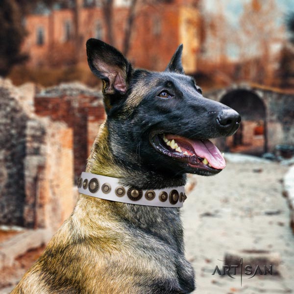 Belgian Malinois fancy walking full grain genuine leather collar for your impressive four-legged friend