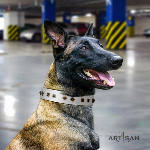 Belgian Malinois daily walking full grain leather collar for your impressive doggie