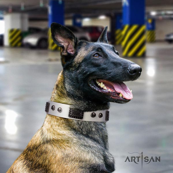Belgian Malinois basic training genuine leather collar for your lovely four-legged friend