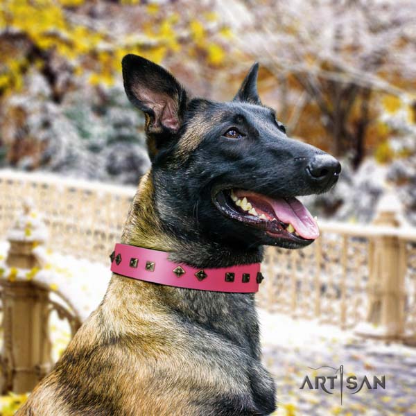 Belgian Malinois daily use genuine leather collar for your handsome pet