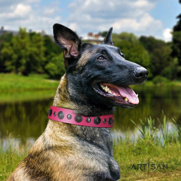 Belgian Malinois walking full grain genuine leather collar for your lovely doggie