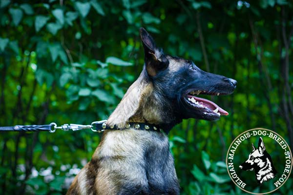 Belgian Malinois pink leather collar adjustable  with half-balls for stylish walks