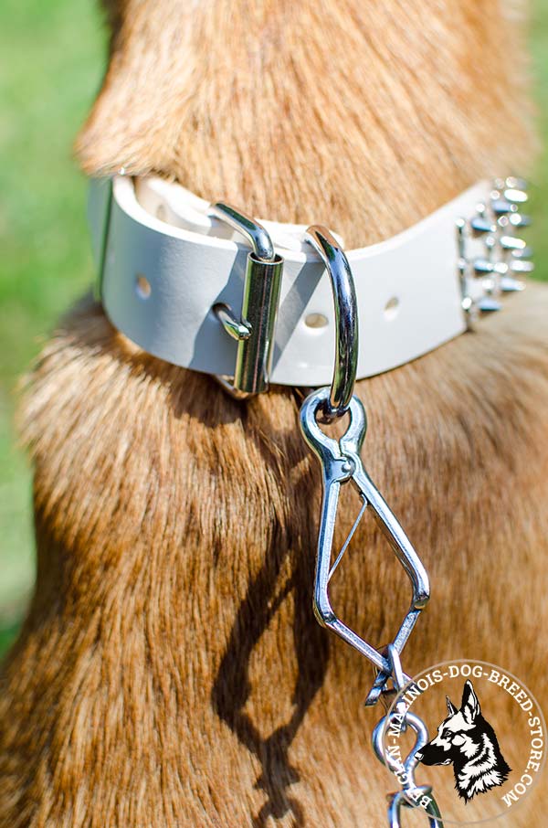 Belgian Malinois white leather collar of high quality with handset adornment for daily activity