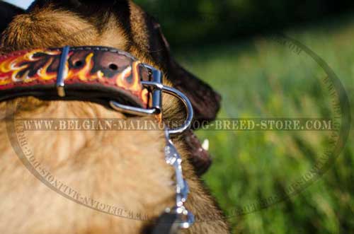 Painted Belgian Malinois Leather Collar