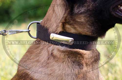 Malinois Nylon Collar for Daily Walking