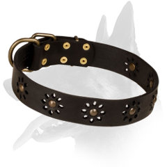  Belgian Malinois Leather Collar for Walking in Style
