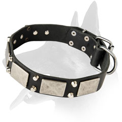 Malinois Leather Collar with Old Nickel Plates And Cones