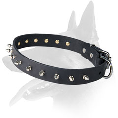 Splendid Belgian Malinois Leather Collar